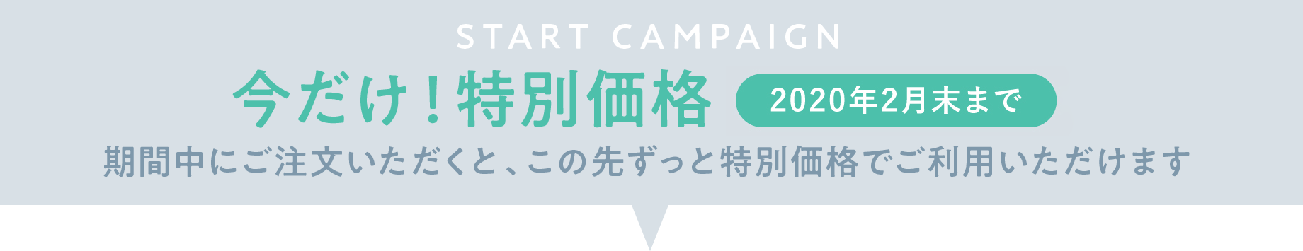 スタート キャンペーン